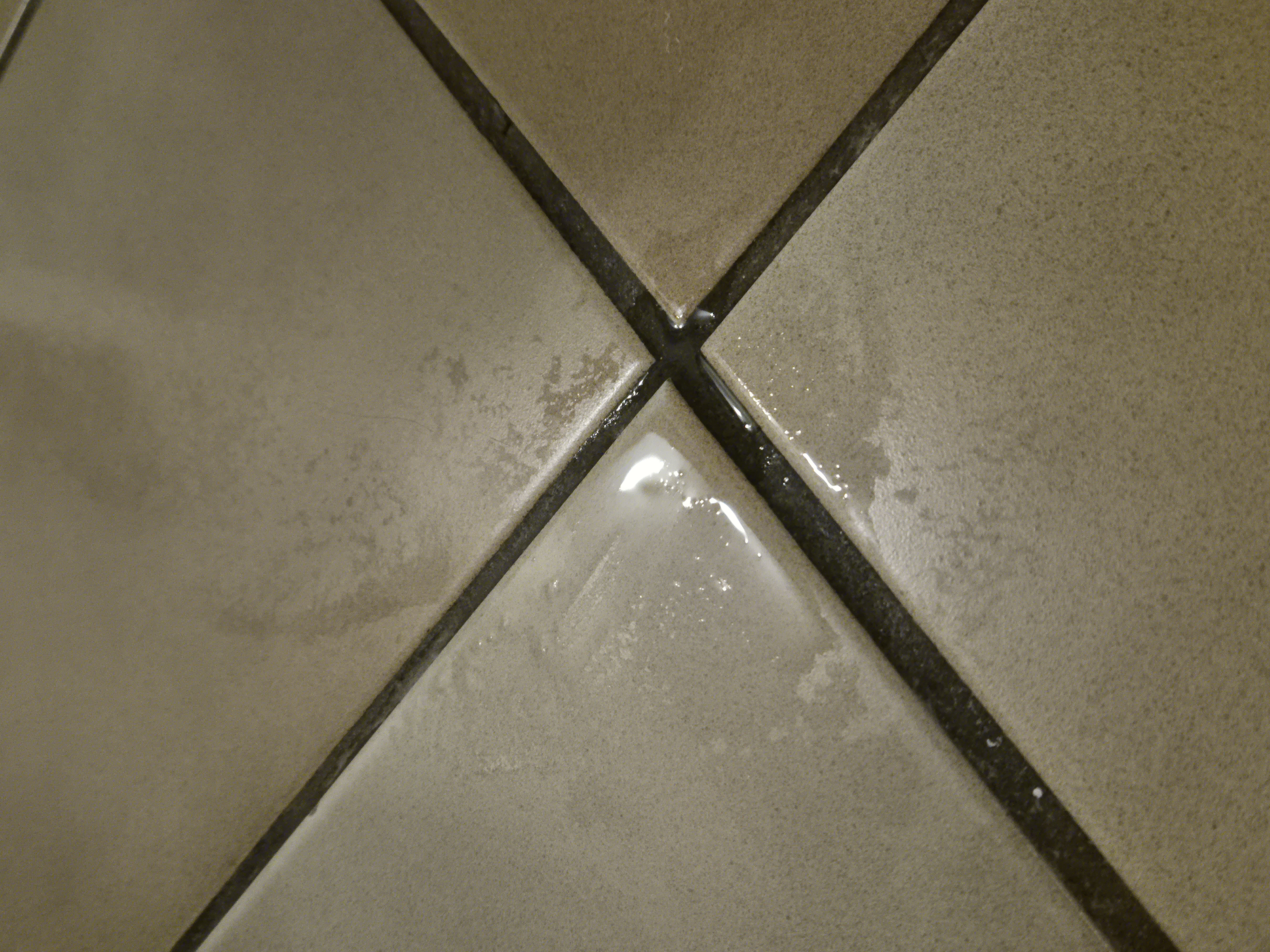 1000011908.jpg