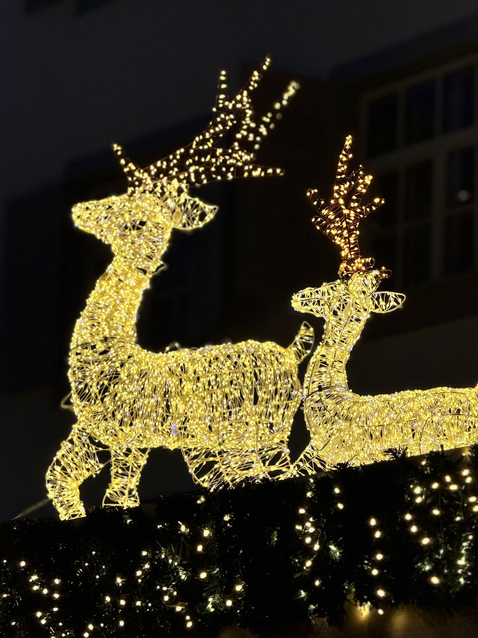 27d87fd6-23a7-43ae-9e2e-97535d560e7f.jpeg