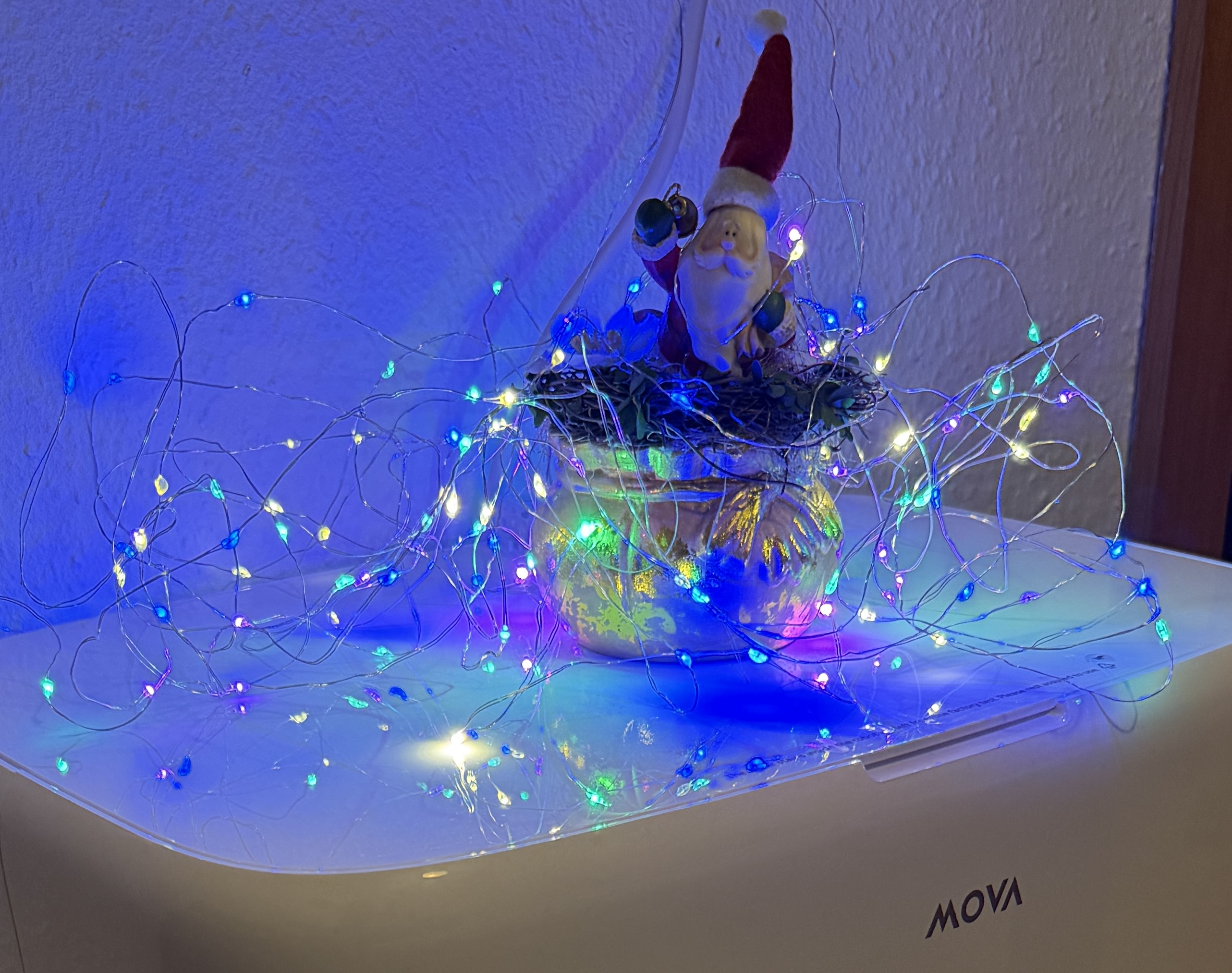 IMG_0739.jpeg