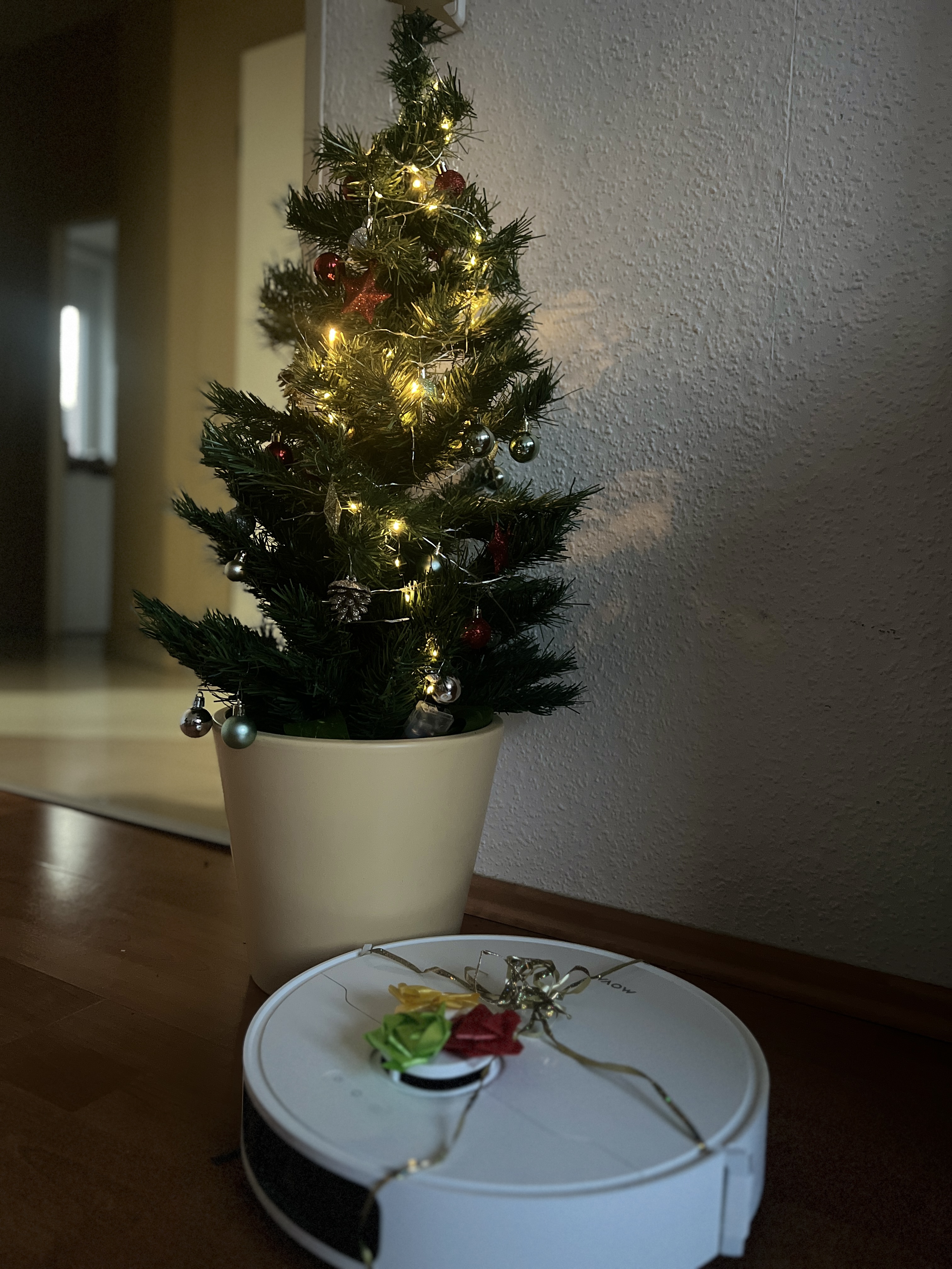 IMG_8438.jpeg