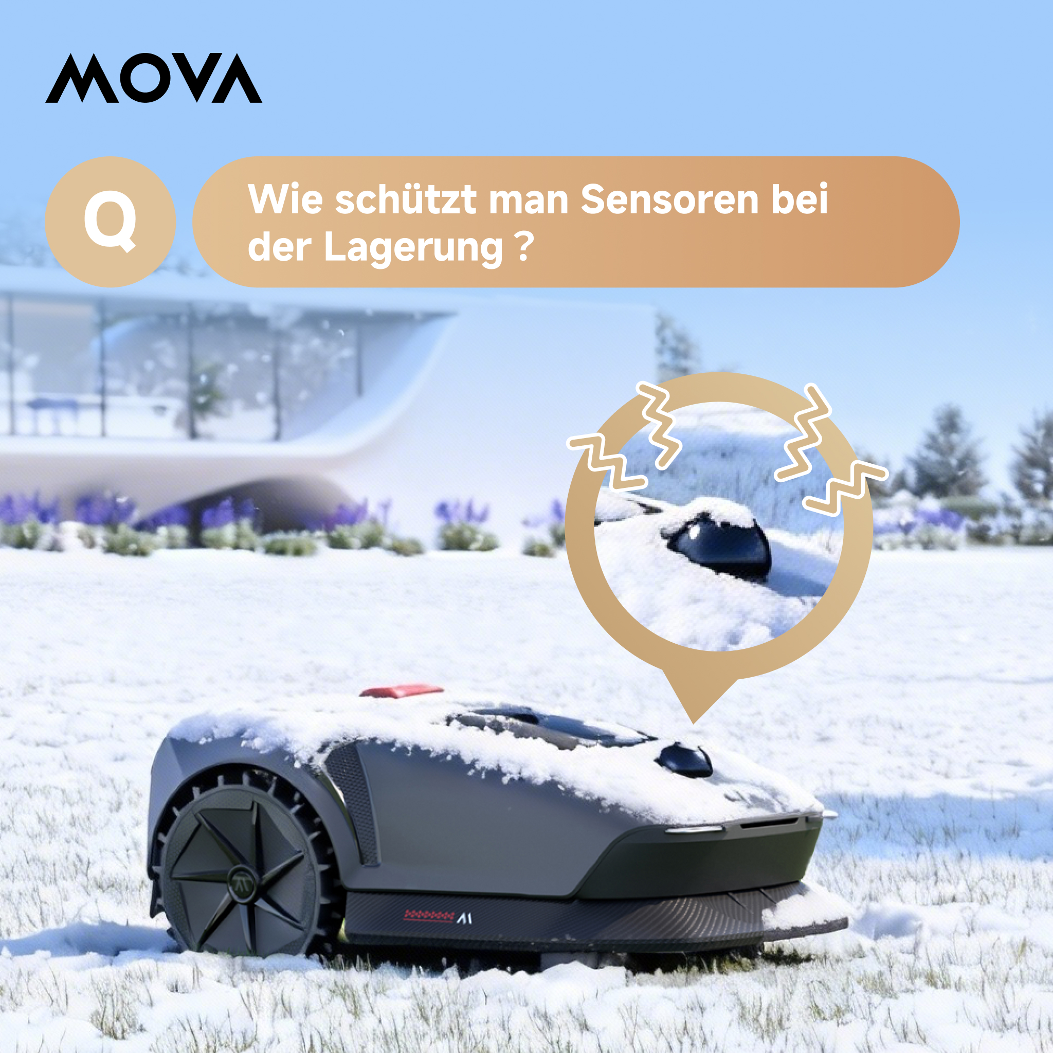 de2.jpg