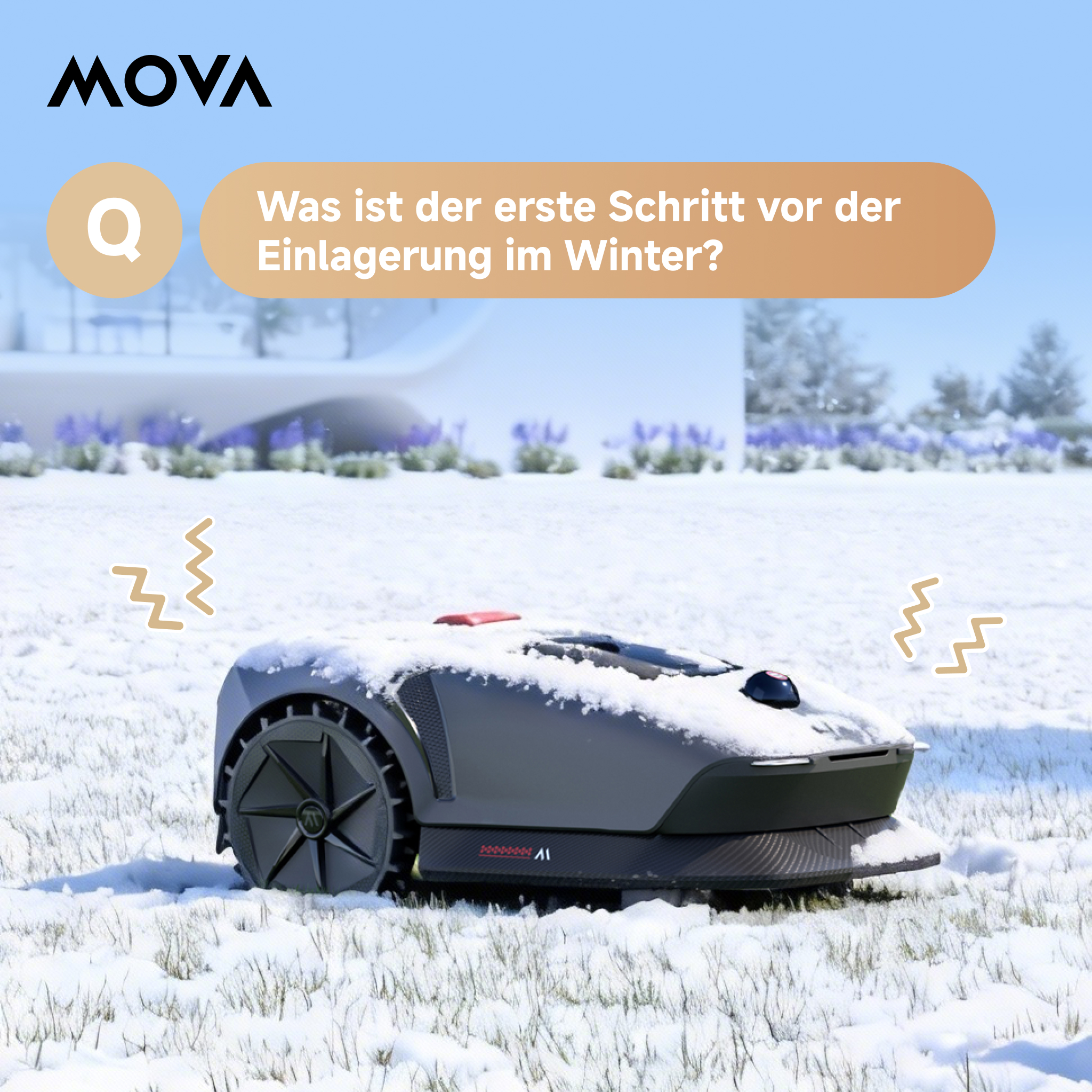 de2.jpg