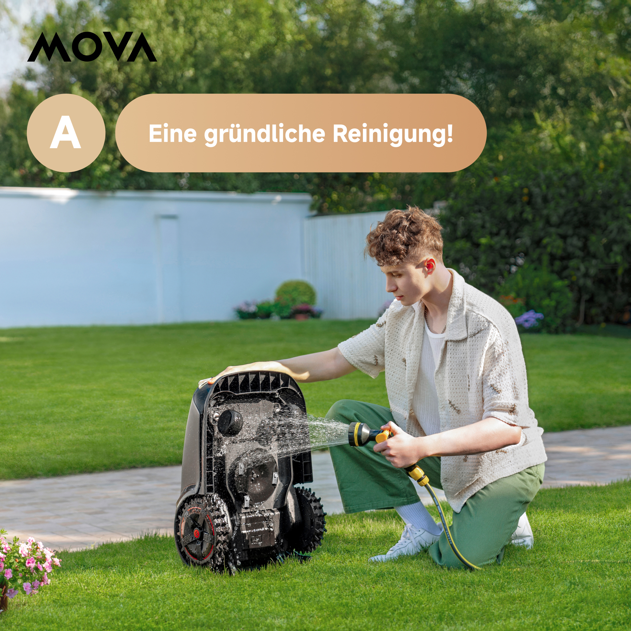 de1.jpg