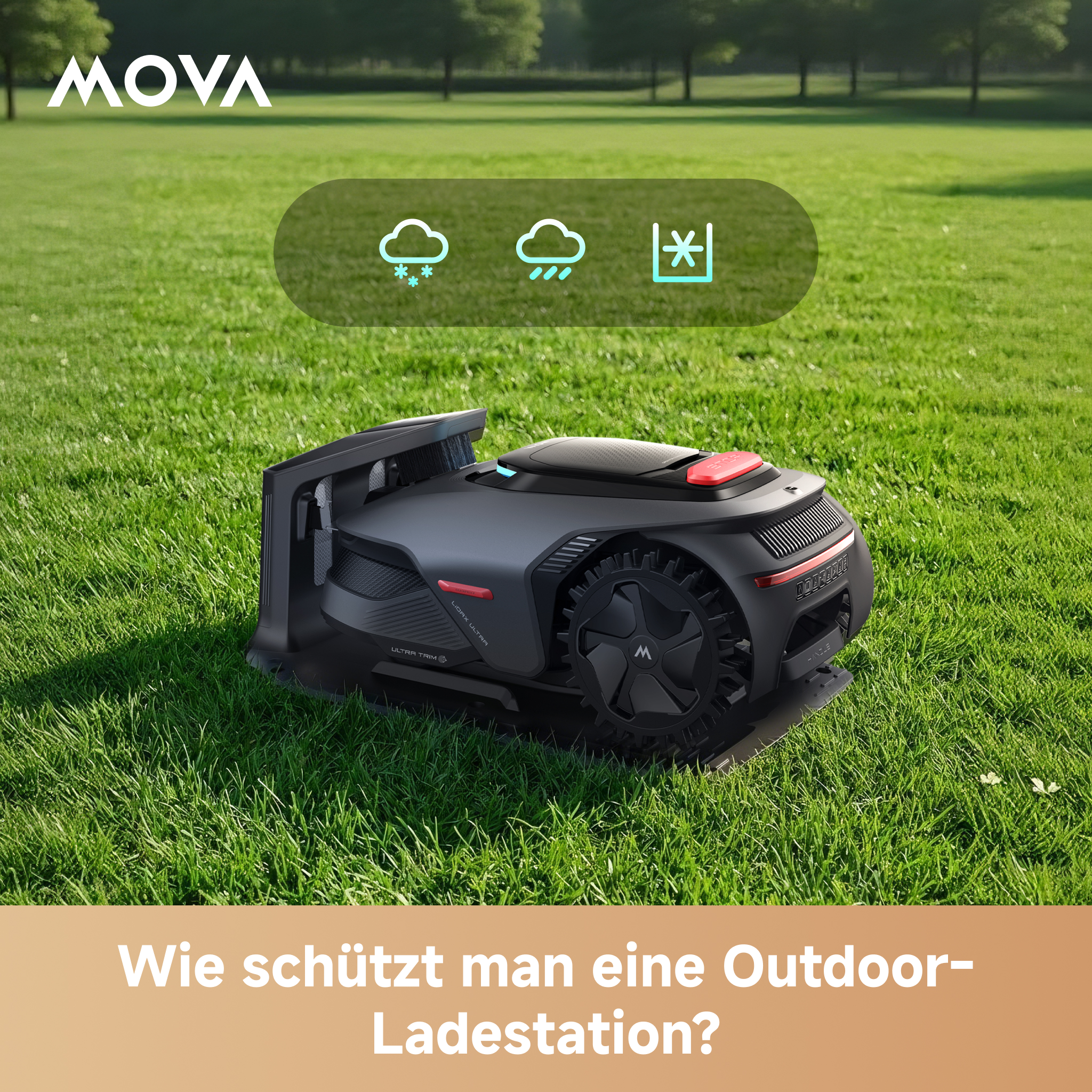 de2.jpg