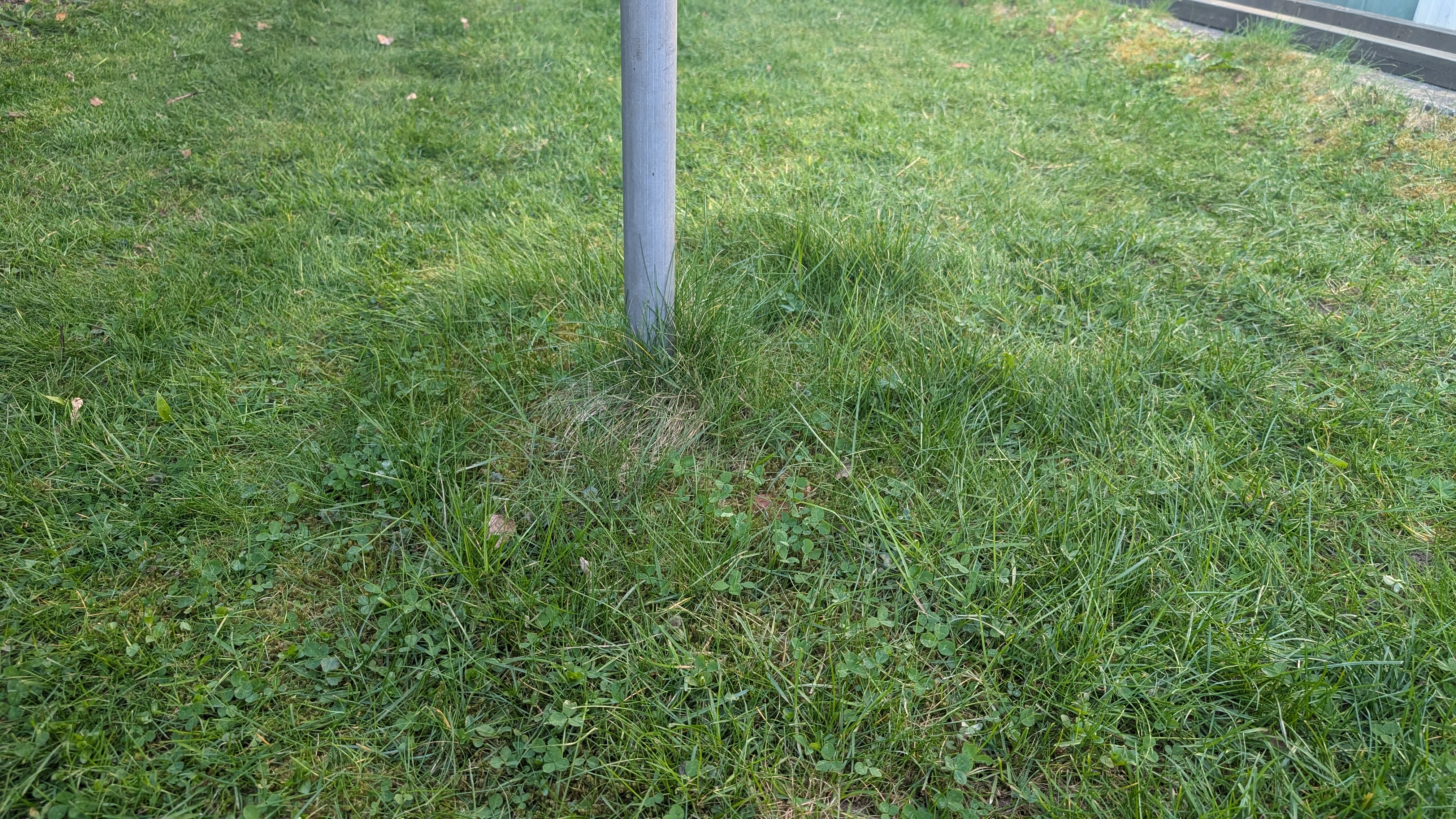 1000054355.jpg