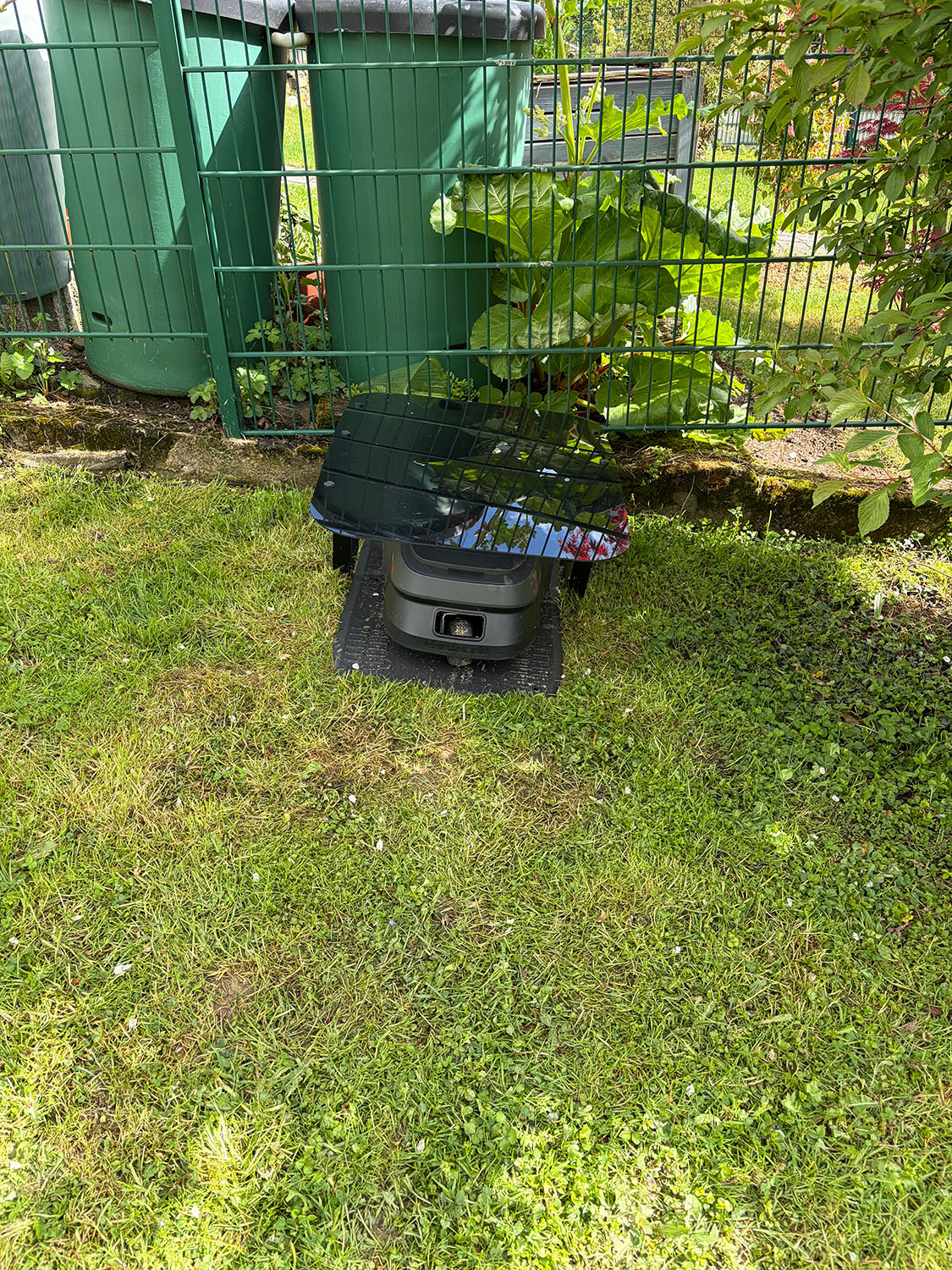 IMG_0816_small.jpg