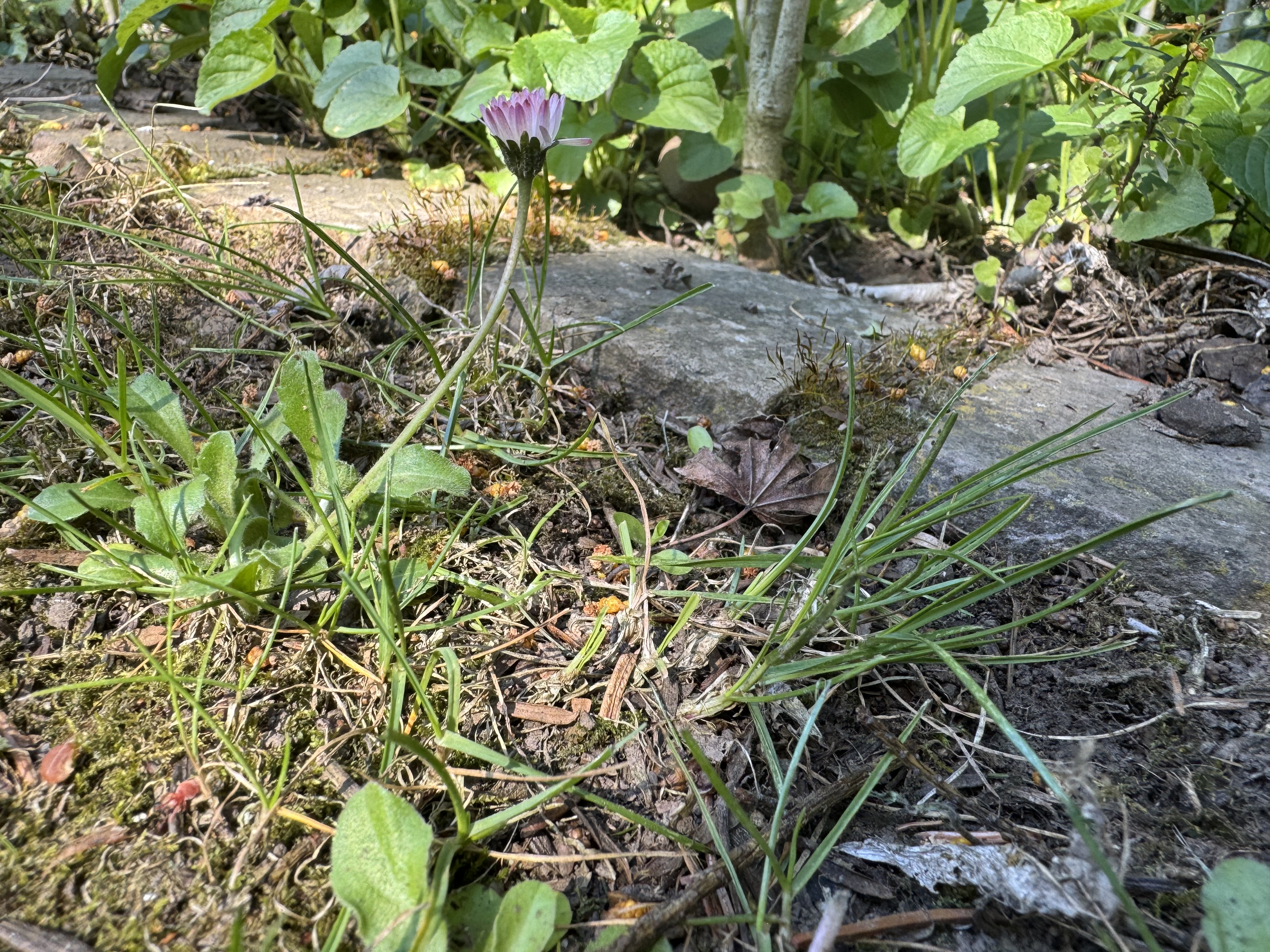 IMG_0414.jpeg