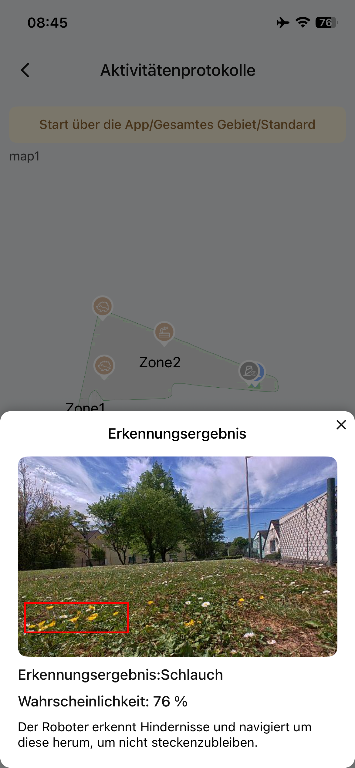 Löwenzahn.PNG