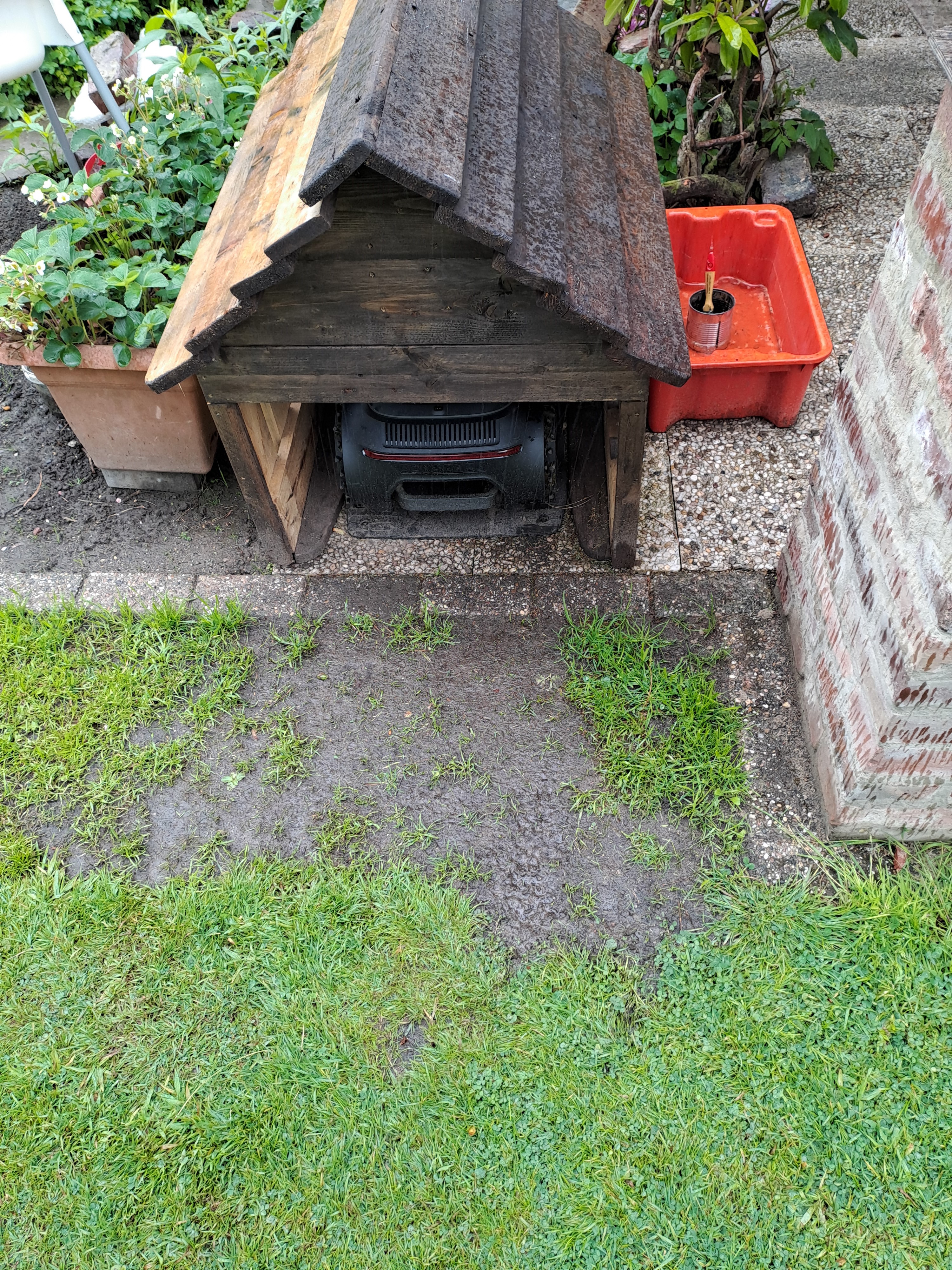 Rasen vor Hütte.jpg