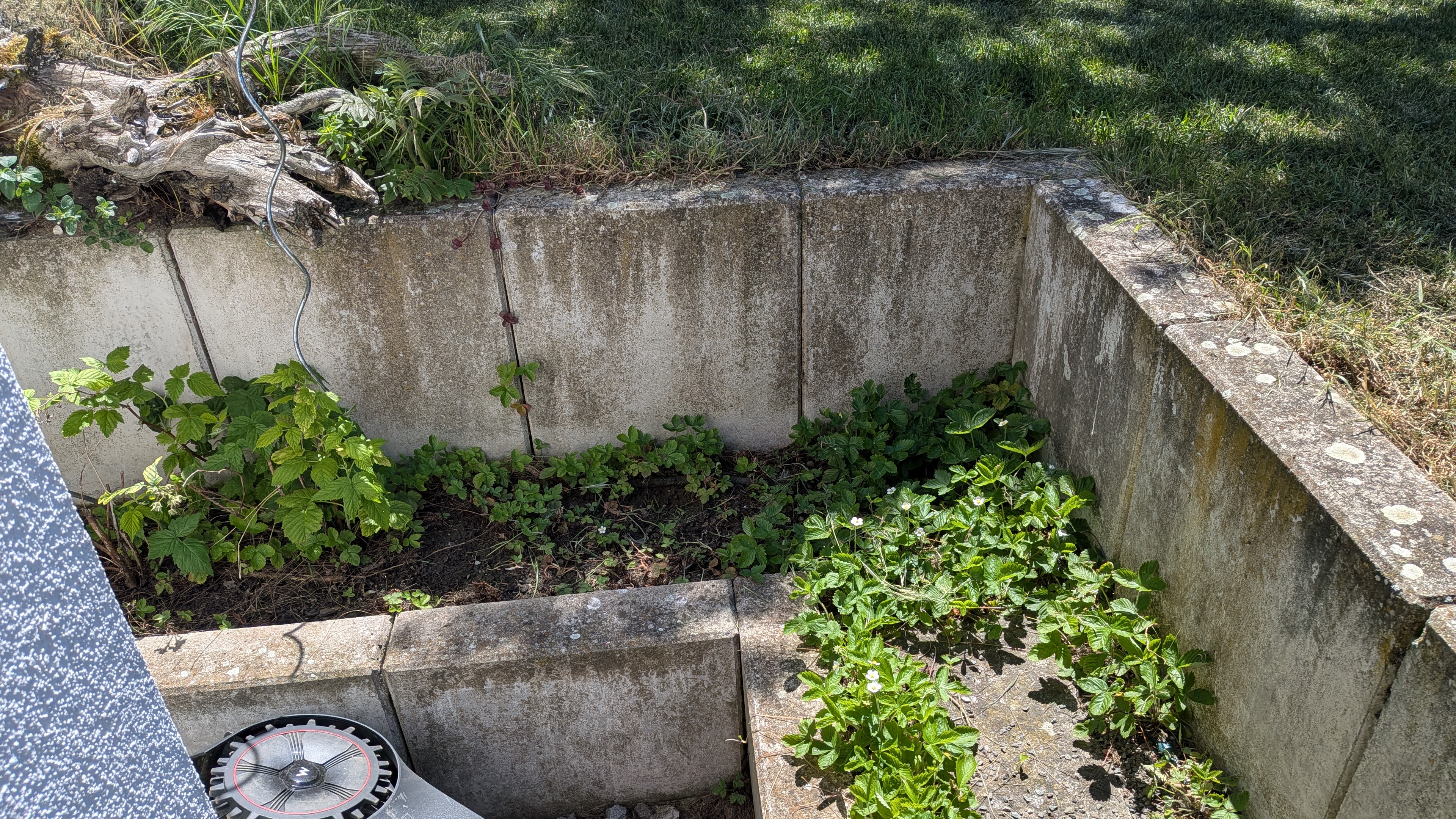 PXL_20260525_113525475.jpg
