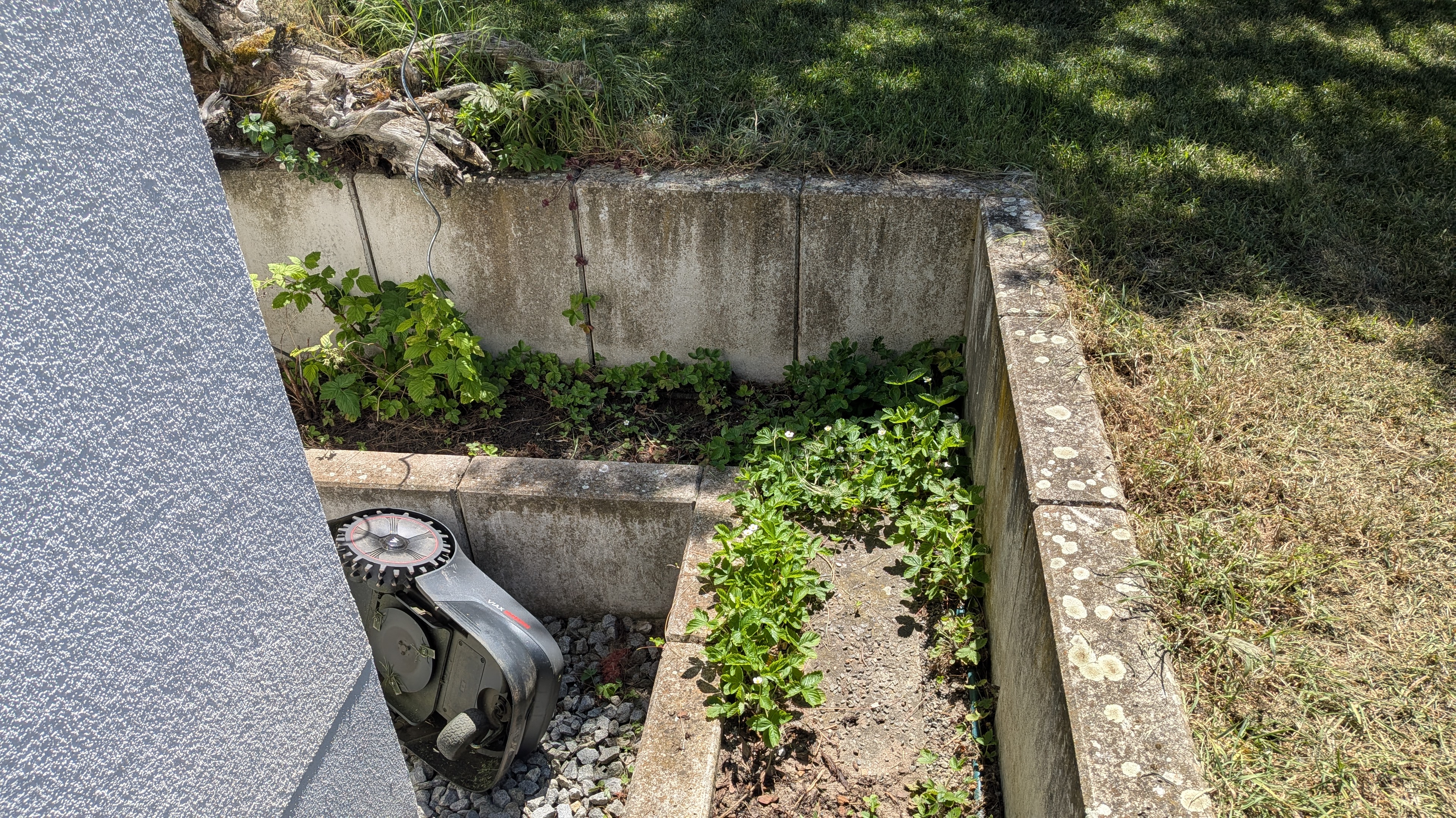 PXL_20260525_113451702.jpg