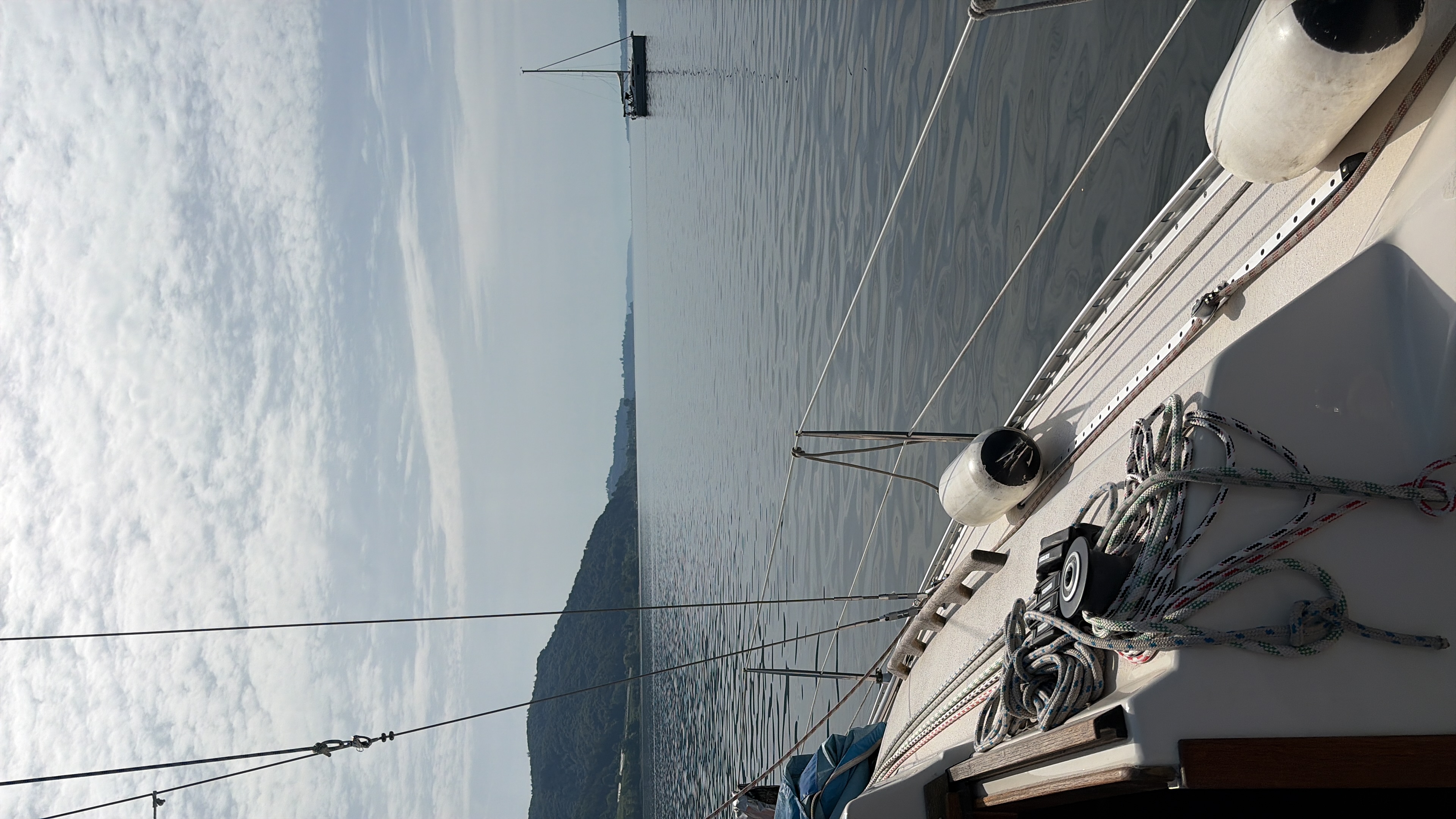 EABC3255-CBCD-4545-9D24-4A294B1E6999.jpeg