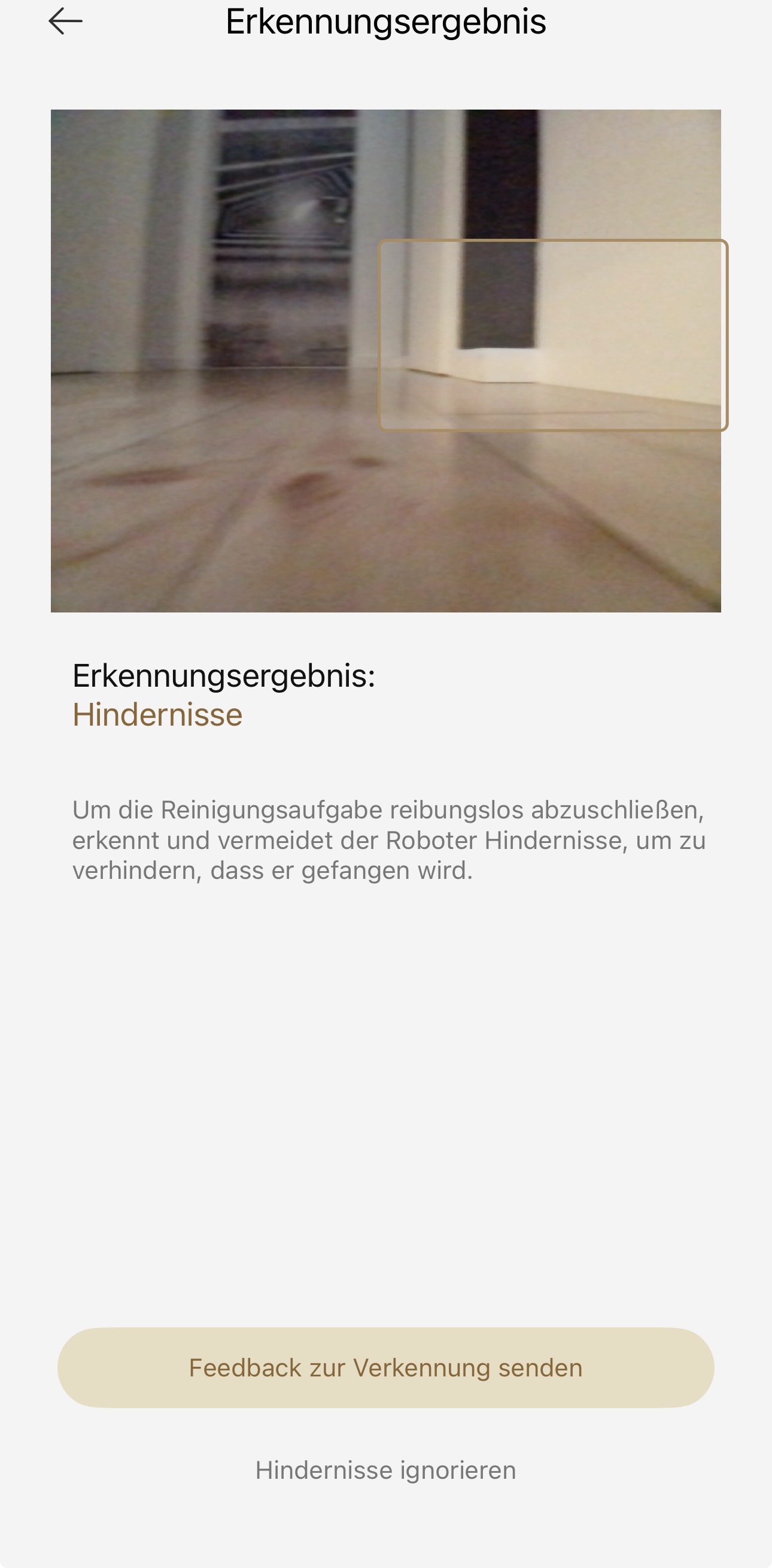 IMG_2720.jpeg