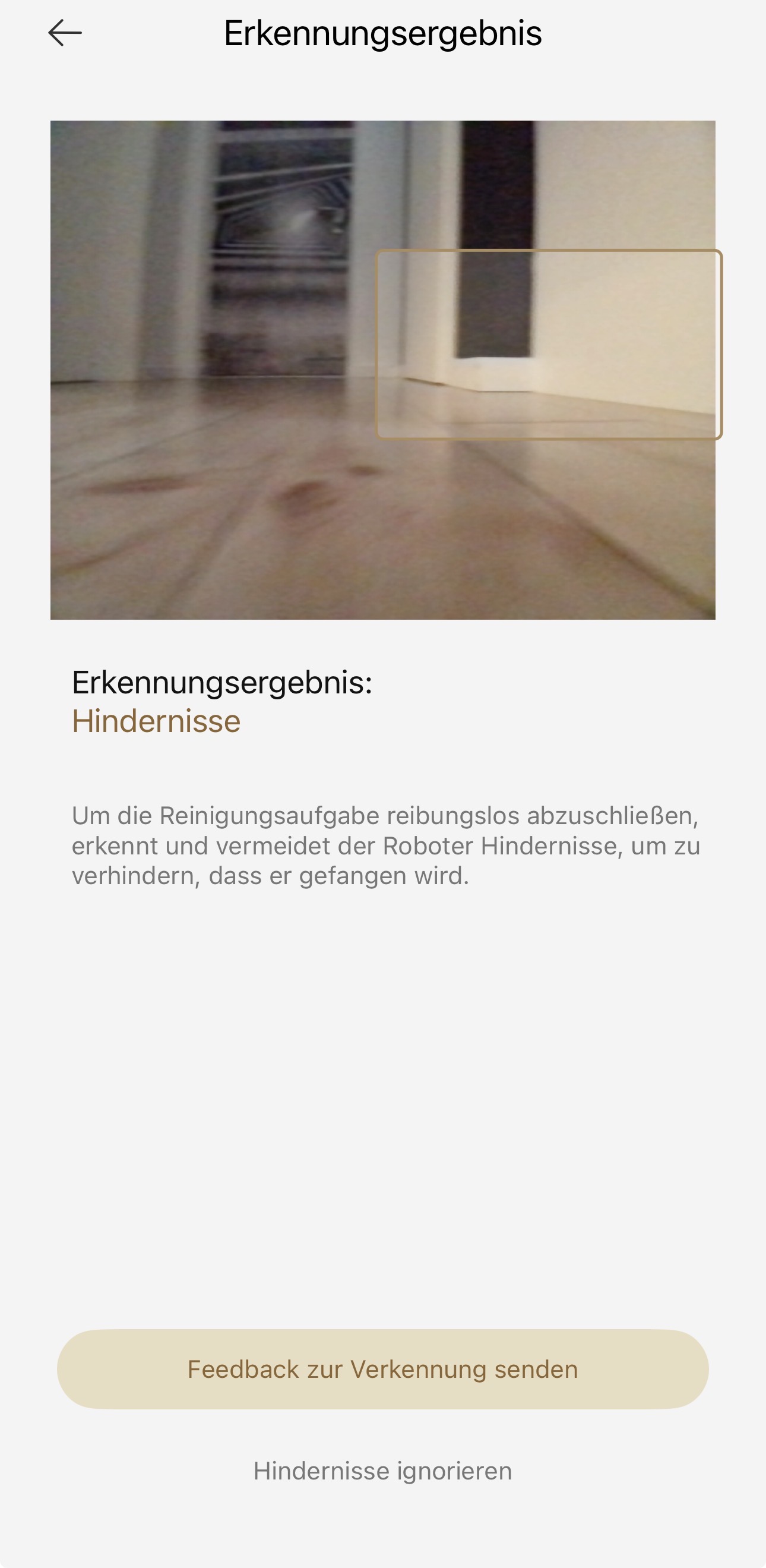 IMG_2719.jpeg