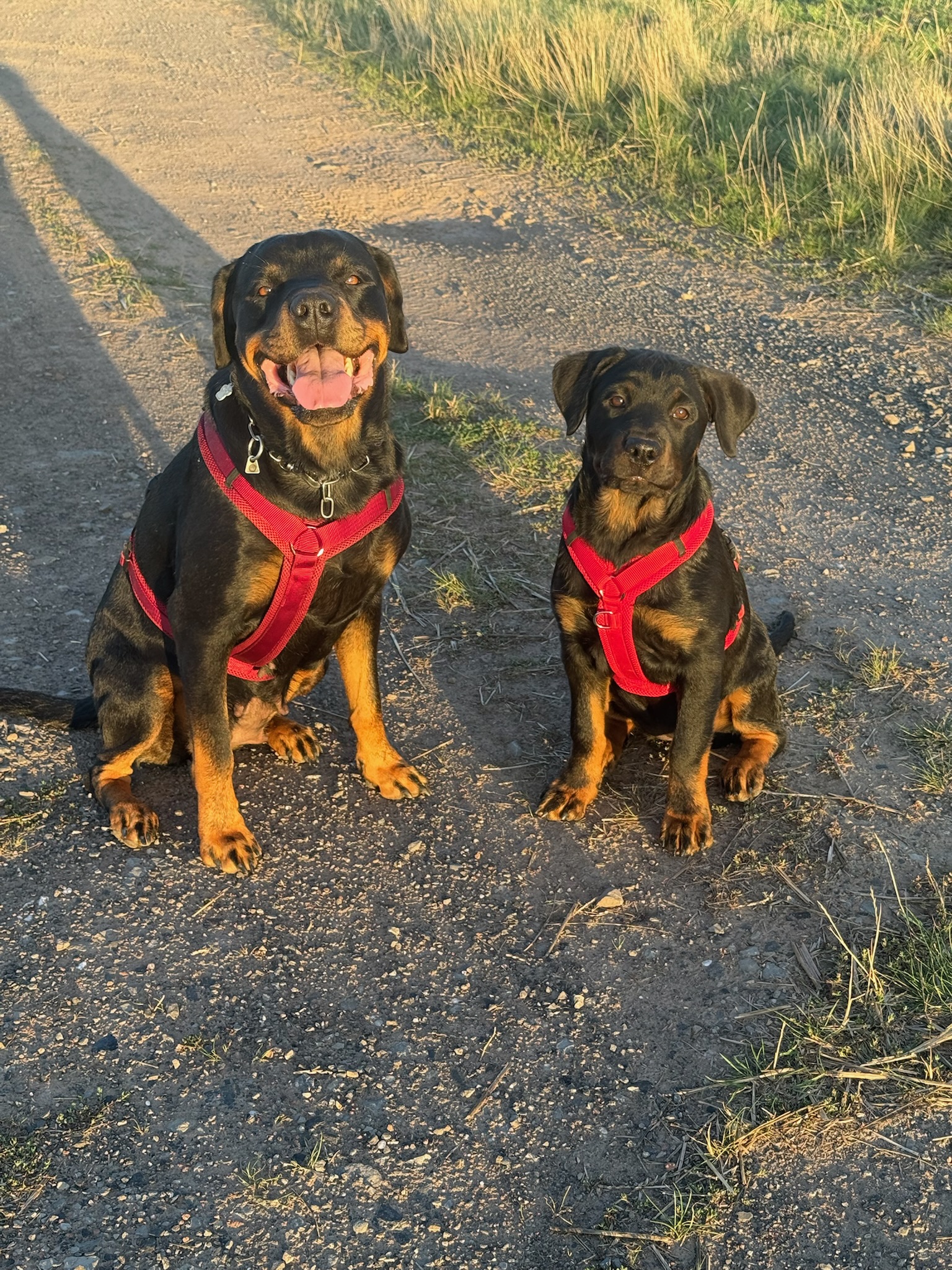 IMG_2019.jpeg