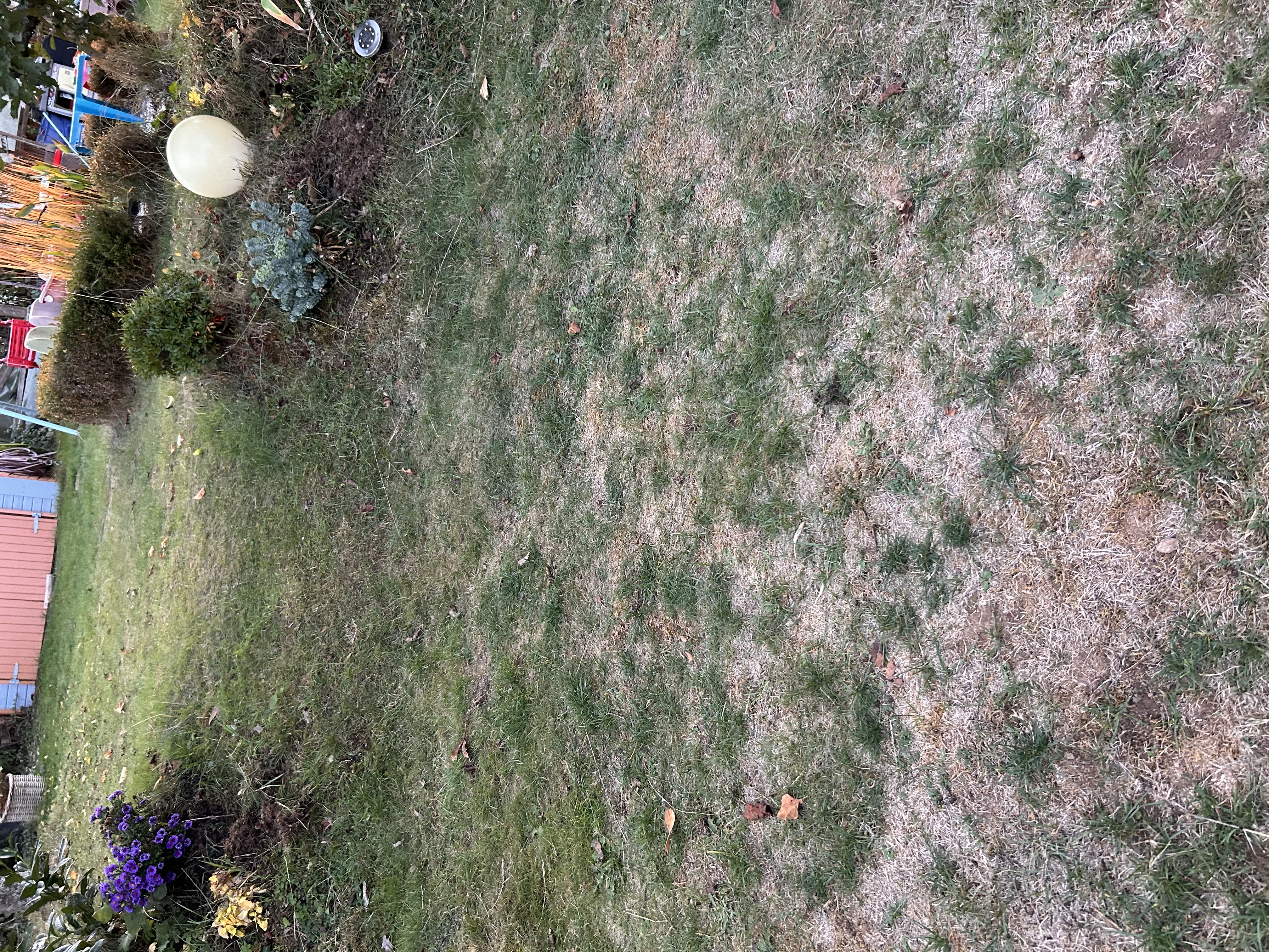 IMG_0147.jpeg
