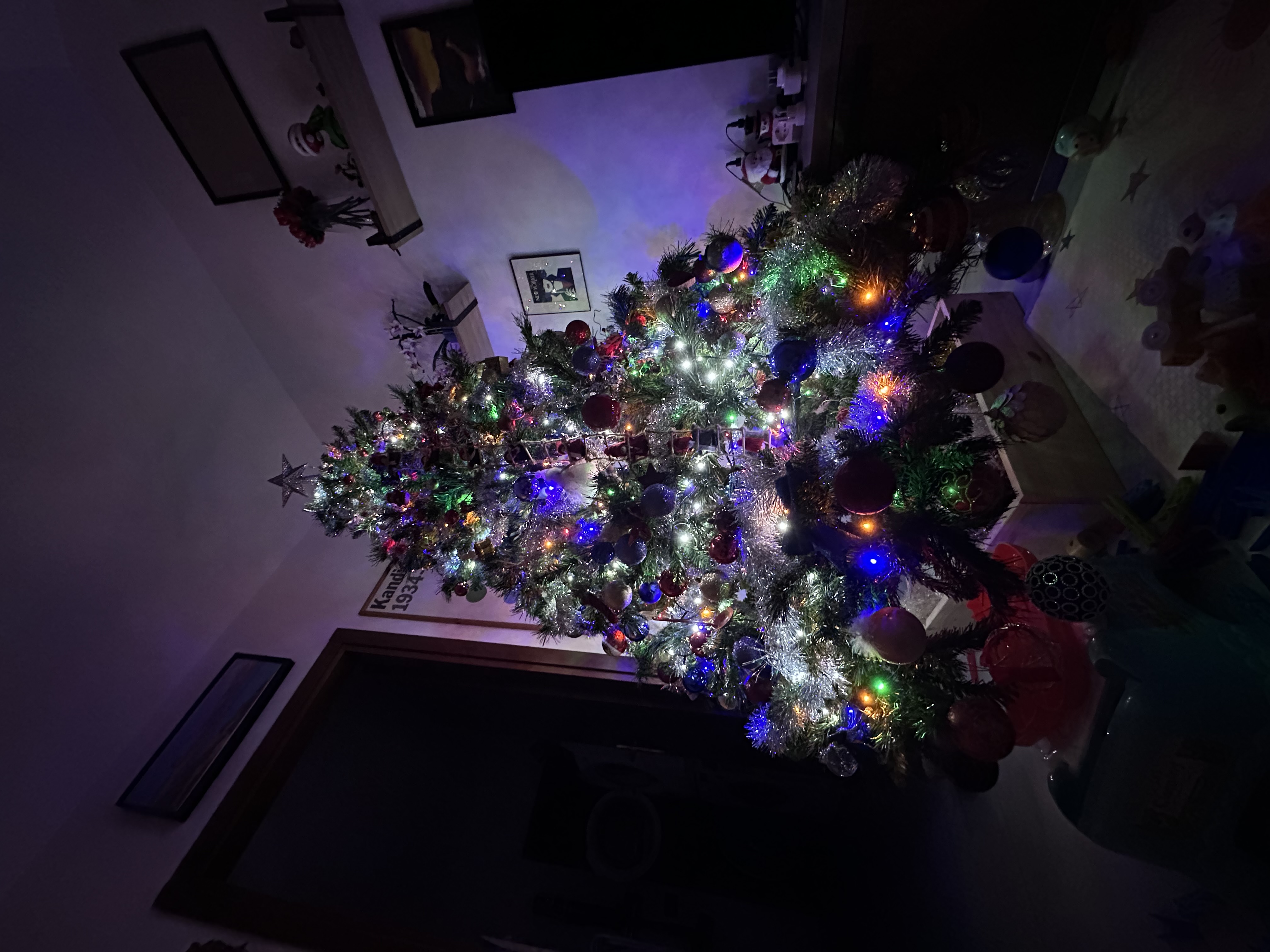 IMG_7771.jpeg