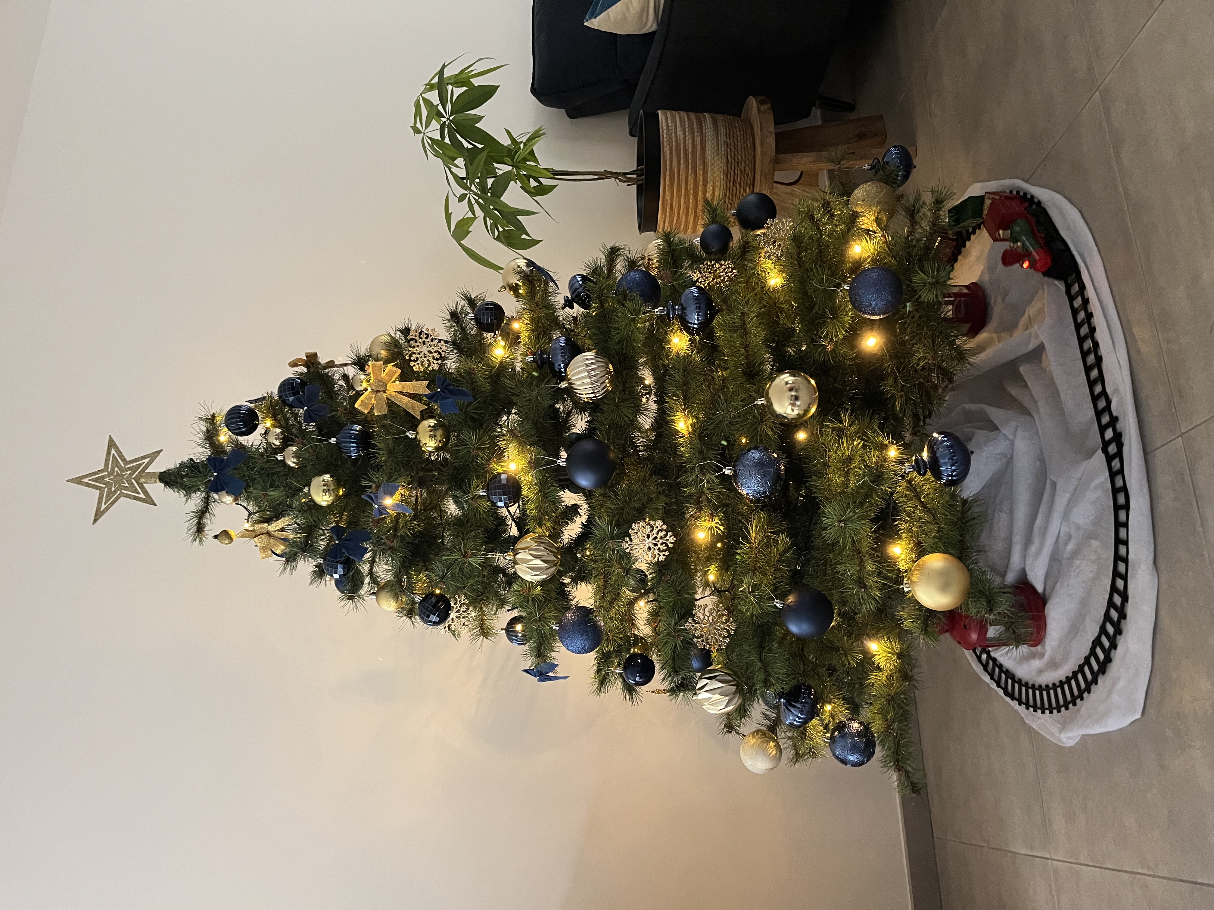 IMG_3434.jpeg