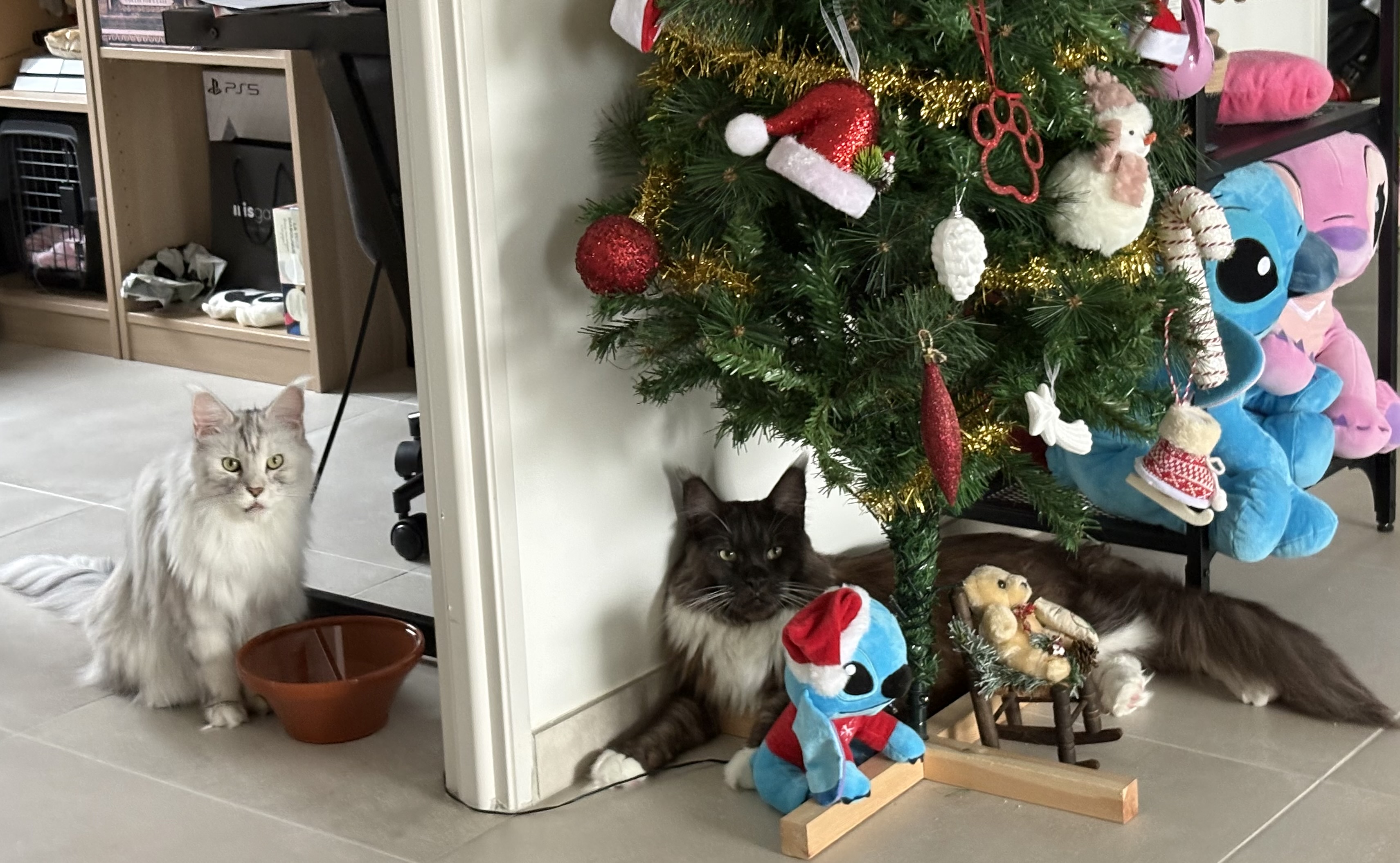IMG_6606.jpeg