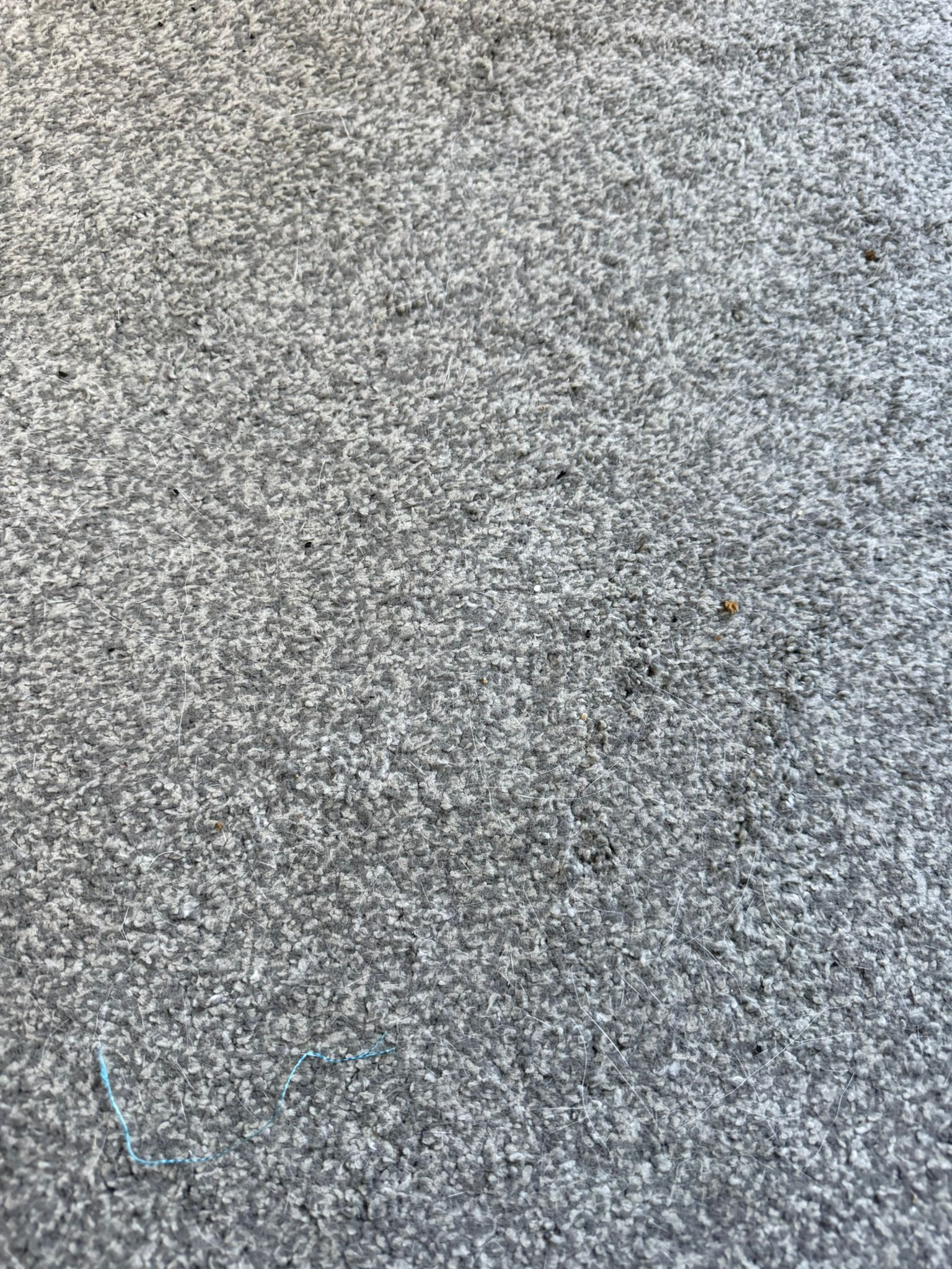 369c8461-bece-40f7-9a4a-99ca8819c55f.jpeg