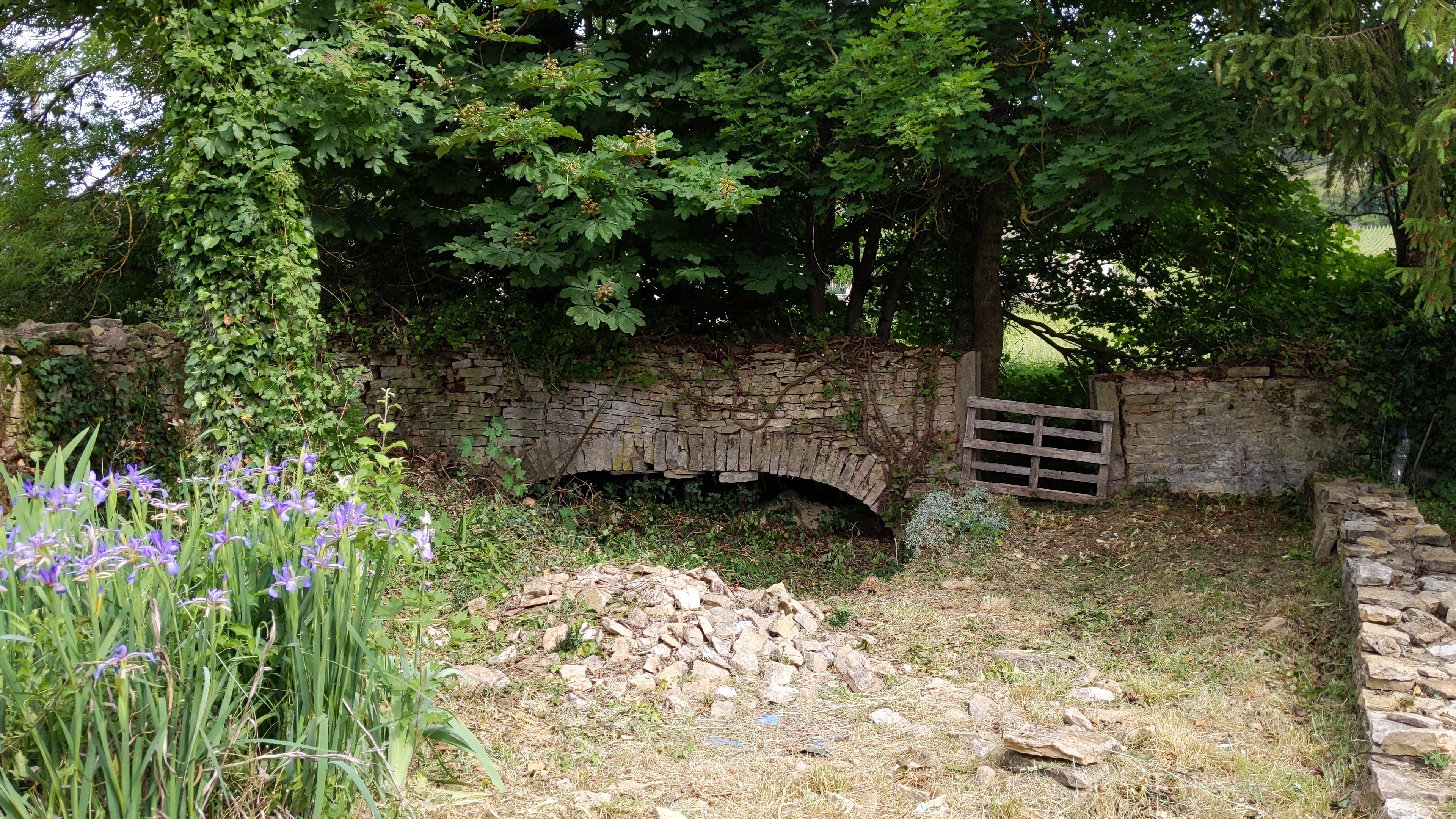 PXL_20220522_081045610.jpg