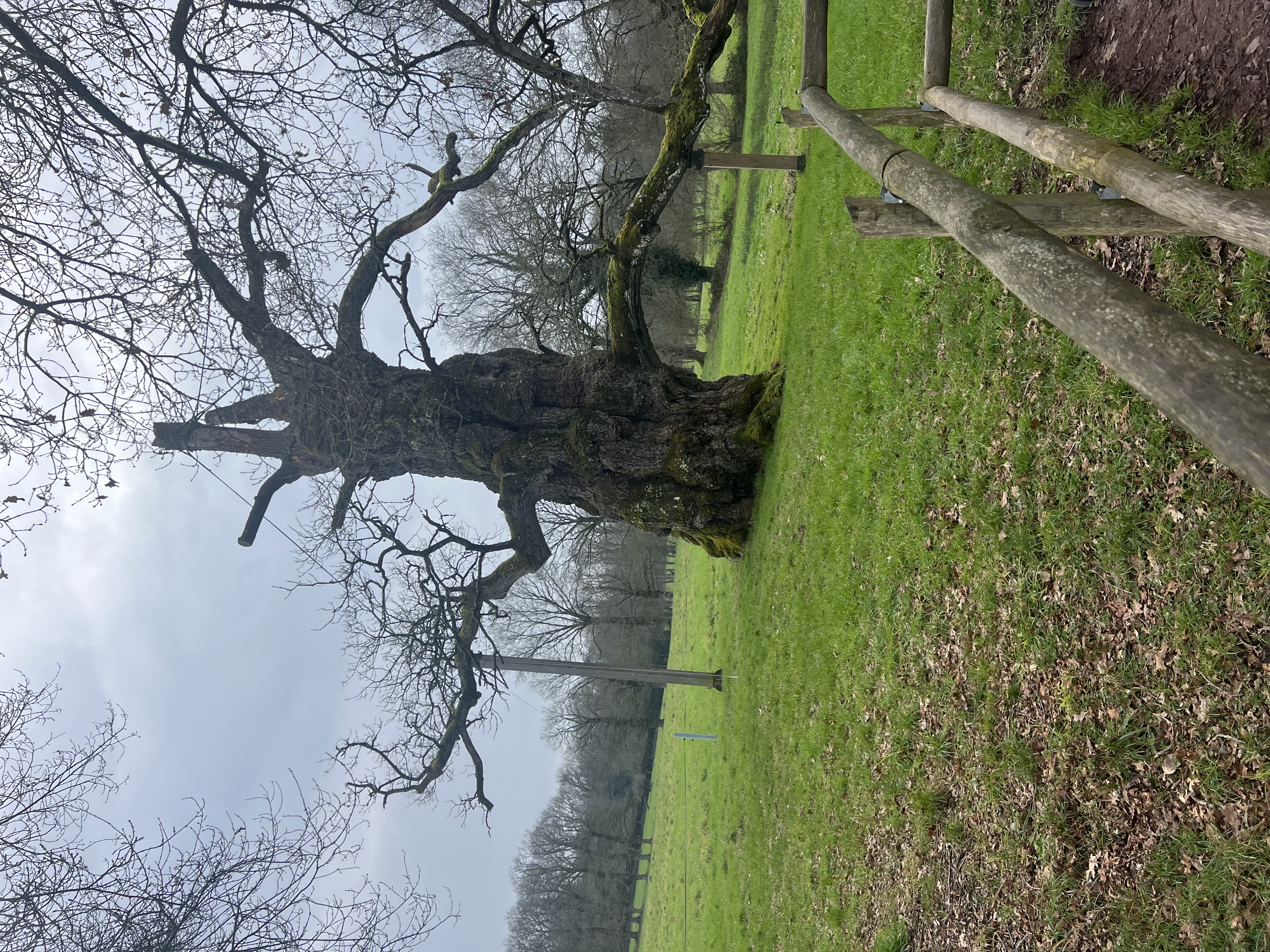 IMG_4330.jpeg