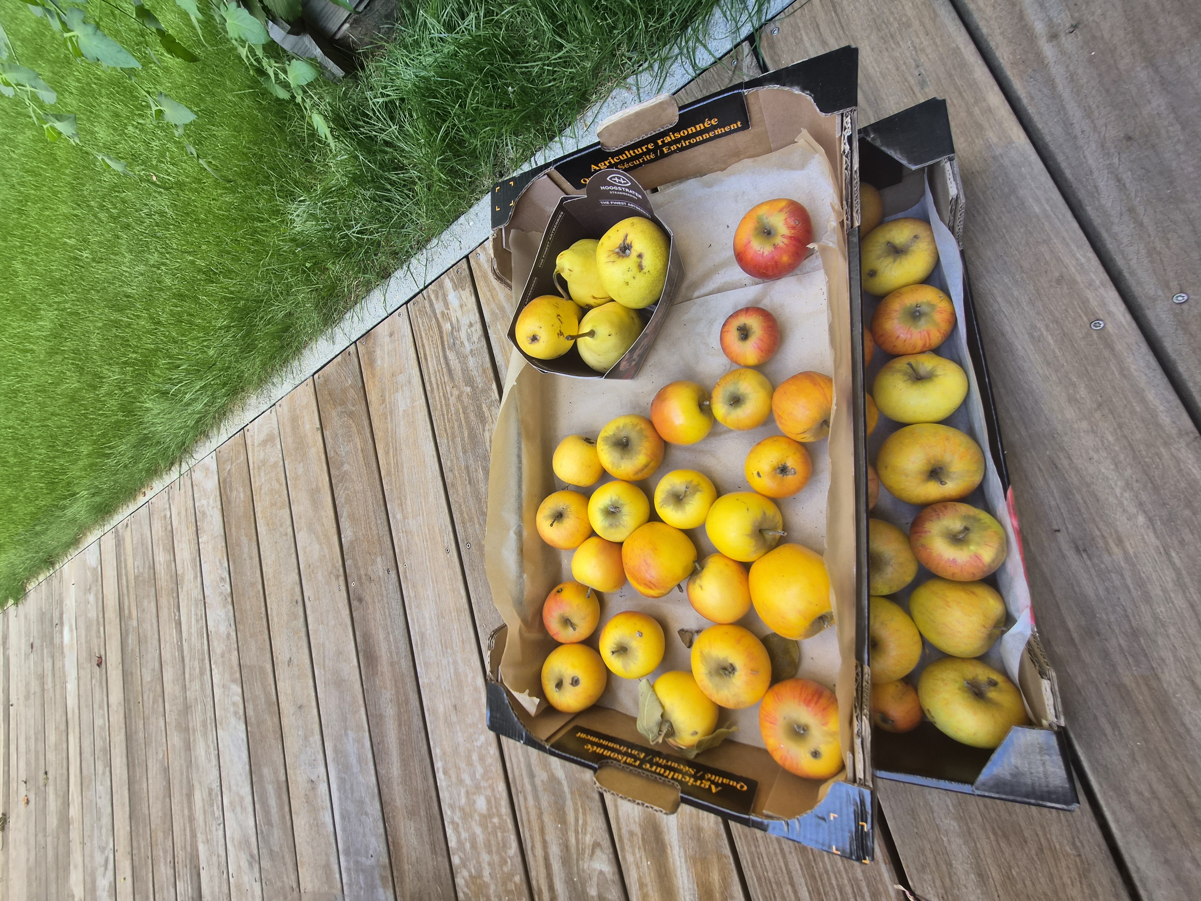 139120.jpg