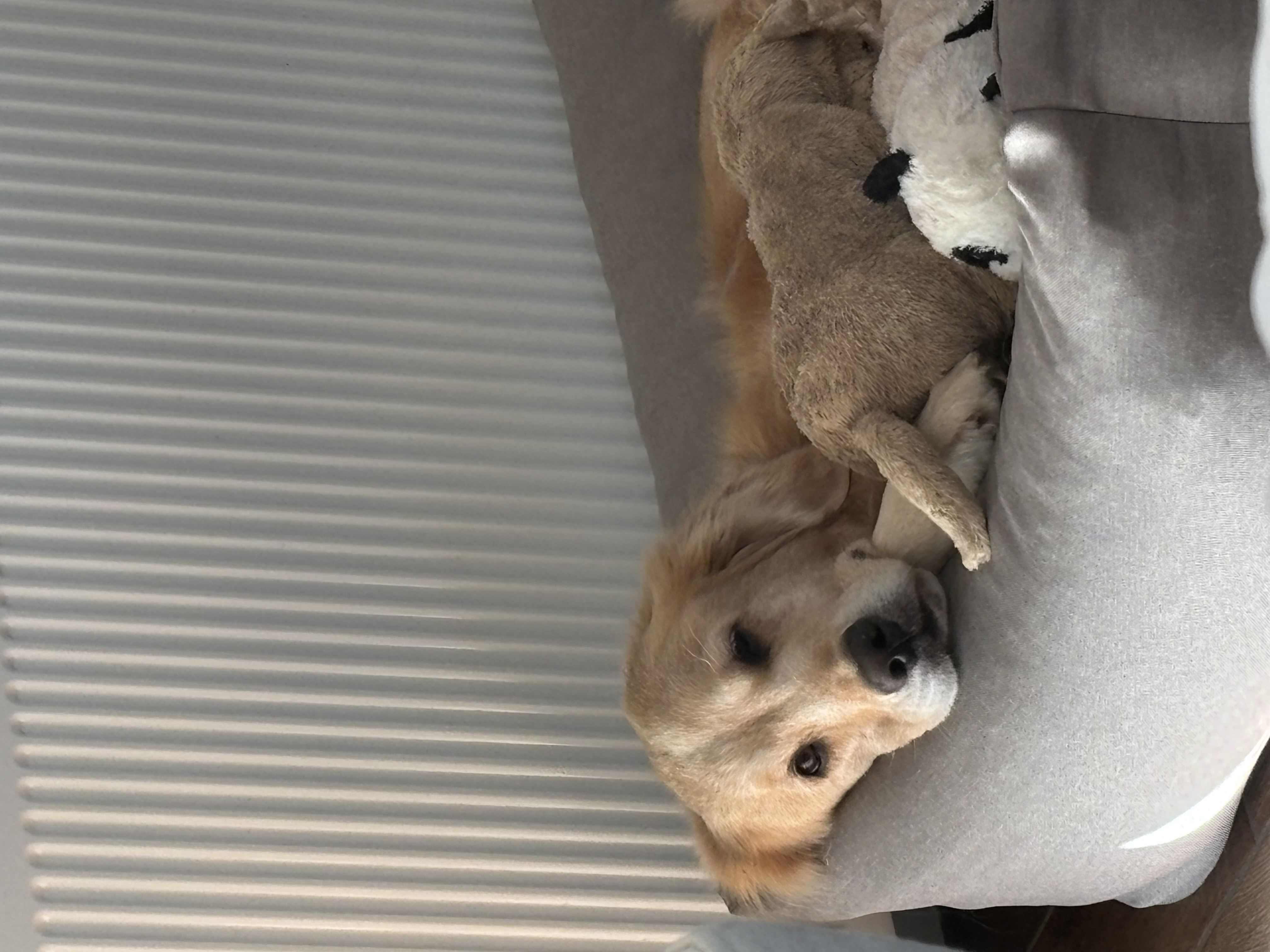 IMG_1832.jpeg