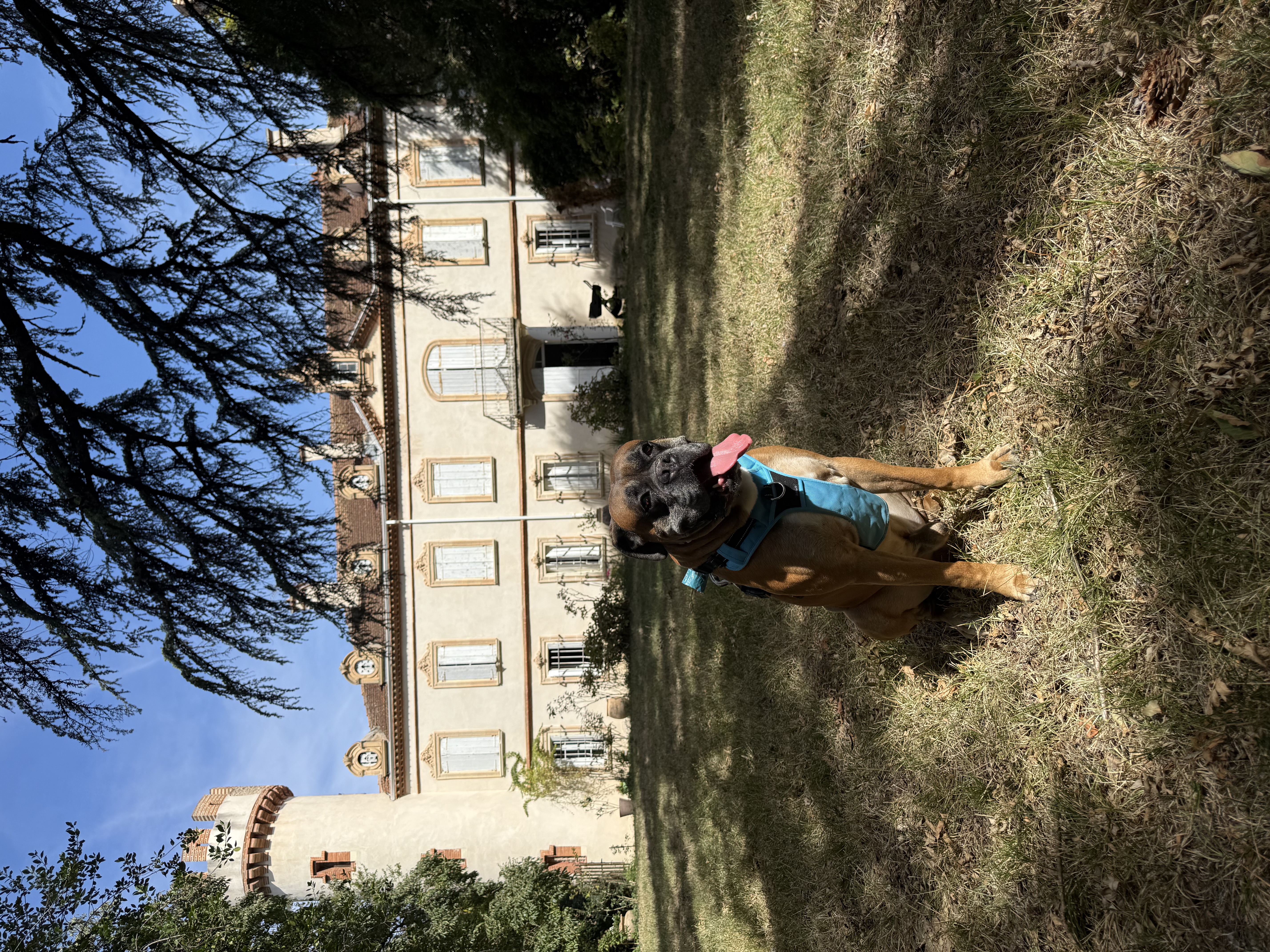 IMG_5518.jpeg