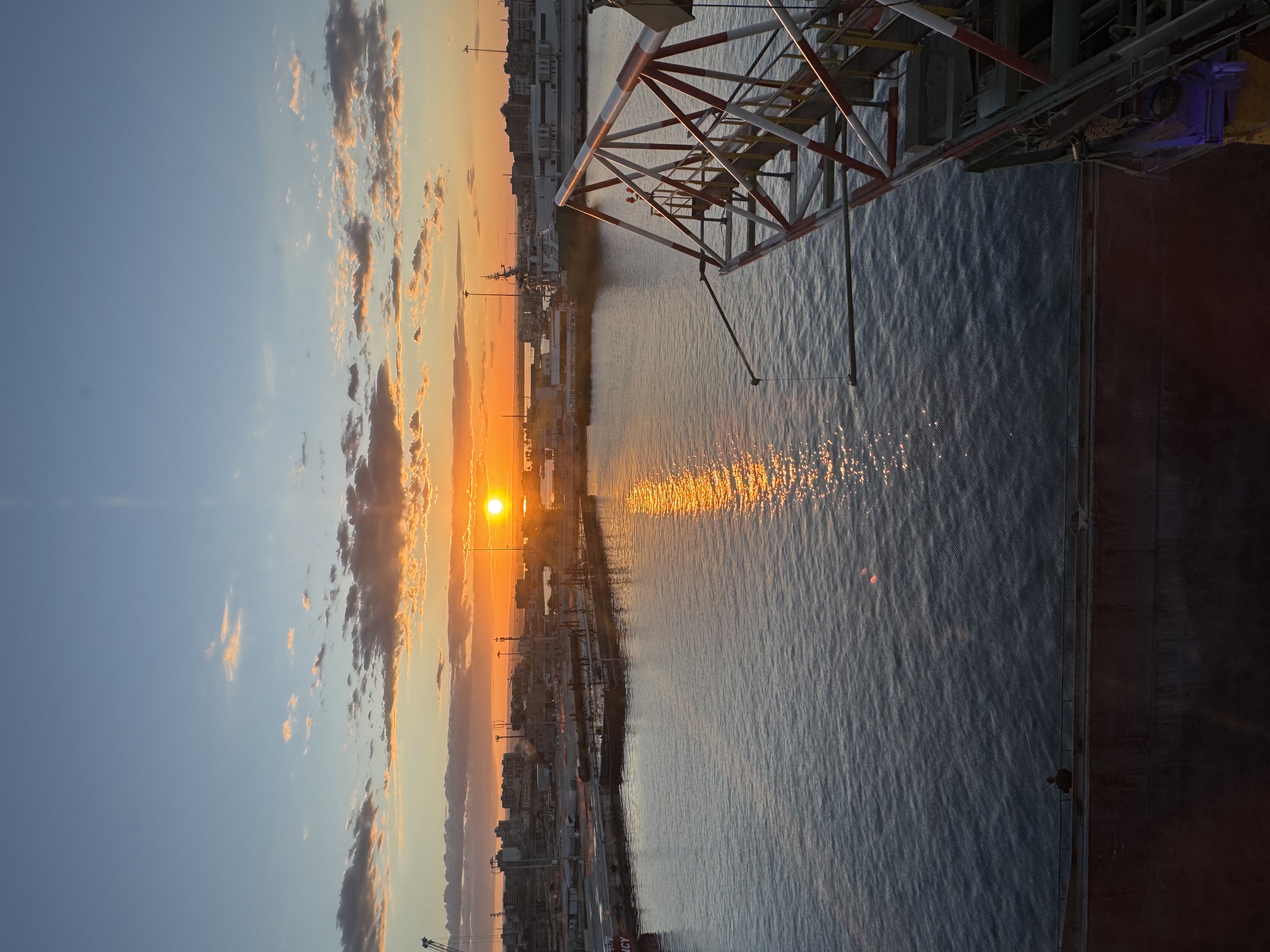 IMG_8374.jpeg