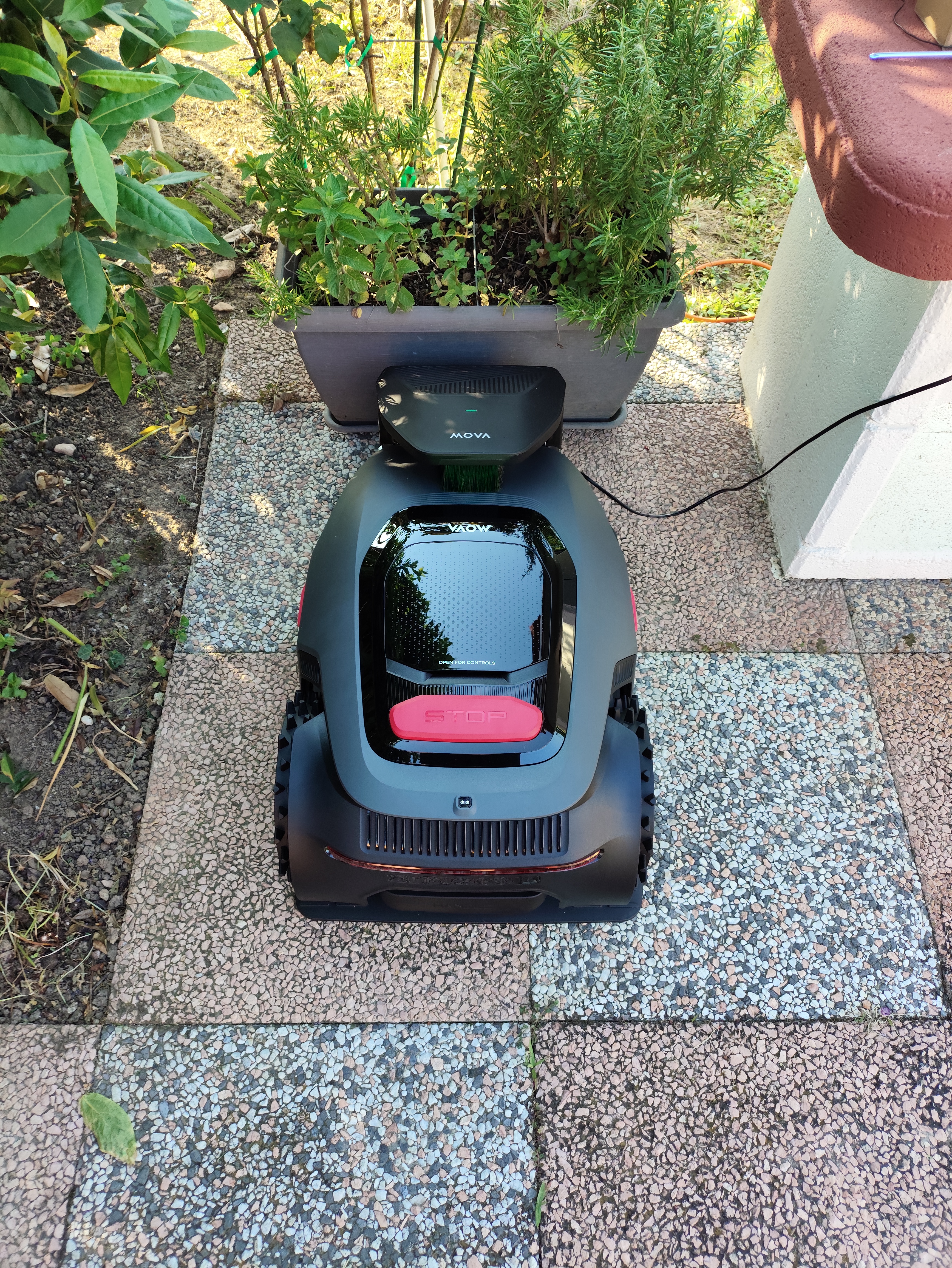 1000051844.jpg