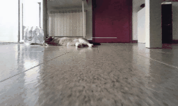 1000058152.gif